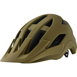 Giant Roost Helmet